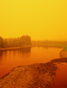 alaska river yellow orange river forest