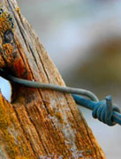 chile fence barbed wire