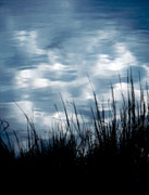 sky reeds water