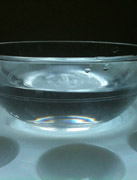 water bowl